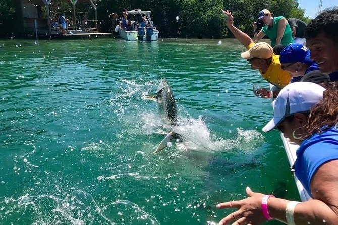 Hol Chan Marine Park and Shark Ray Alley Snorkeling - The biggest practical concern: timing and reliability