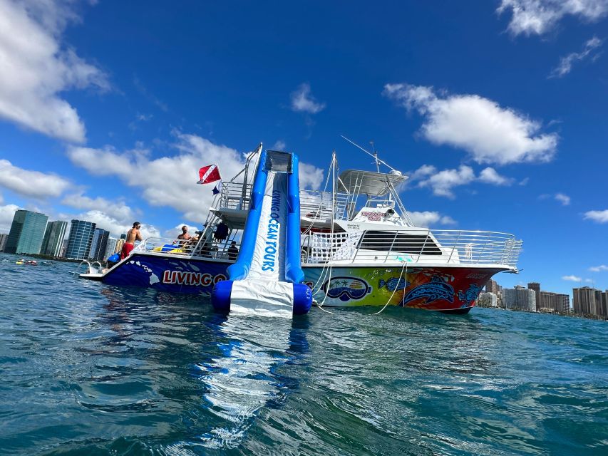 Honolulu: Deluxe Waikiki Snorkel and Wildlife Cruise - Key points to know before booking