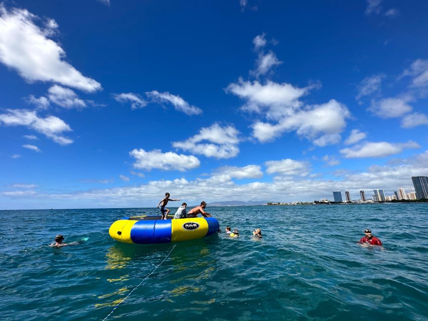 Honolulu: Deluxe Waikiki Snorkel and Wildlife Cruise - What the reef and wildlife may actually be like