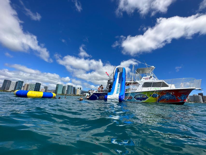 Honolulu: Deluxe Waikiki Snorkel and Wildlife Cruise - Starting at Kewalo Basin and heading toward Diamond Head
