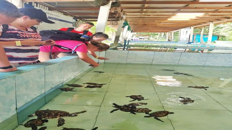 Hua Hin: Koh Talu Snorkeling with Lunch for 2 or More People - Two snorkeling stops, with conditions doing the deciding