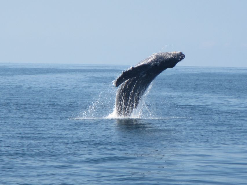 Huatulco: Bays Boat Tour with Snorkeling and Hotel Pickup - The return boat ride and hotel transfer