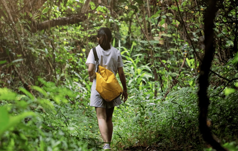 Huatulco: National Park Hiking and Snorkeling Tour - A half-day escape from Huatulco’s beaches