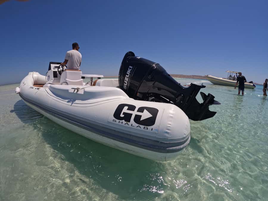 Hurghada: 4 Island Hopping Tour Dolphin, Snorkeling & Lunch - Looking for dolphins in the open sea