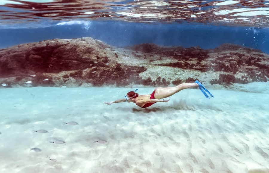 Hurghada: Day Snorkeling with Dolphins - Practical tips for a better day