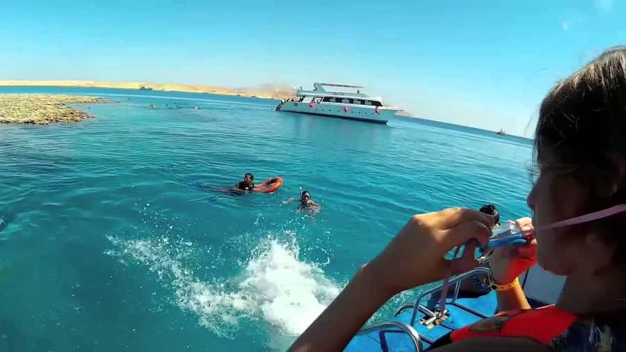 Hurghada: Day Snorkeling with Dolphins - Should you book the Dolphin Reef trip?