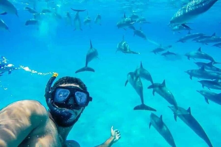 Hurghada: Dolphin & Coral Reef Snorkeling Tour with Lunch - Dolphin watching without a guarantee