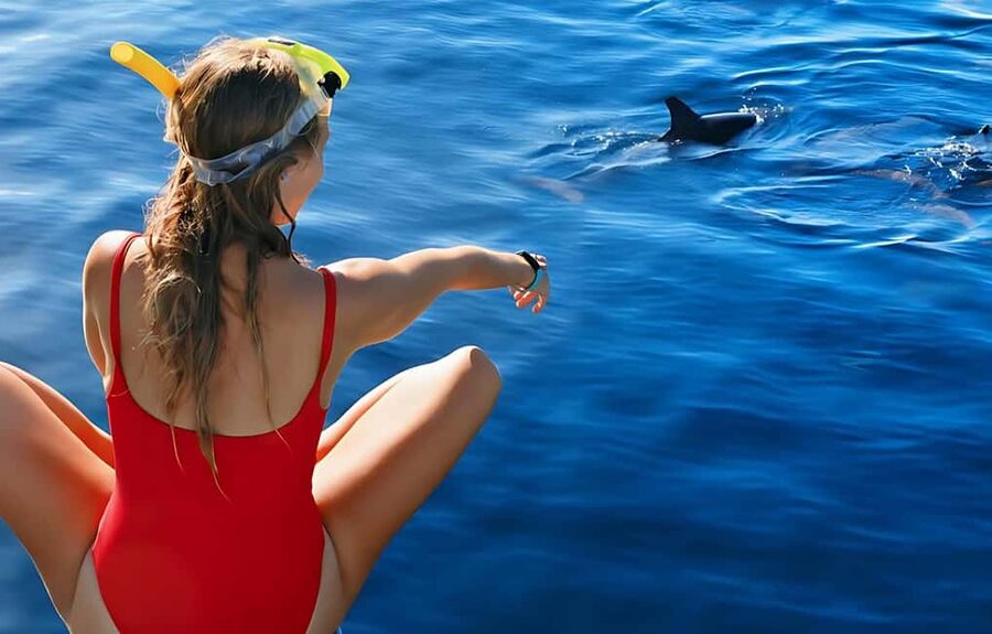 Hurghada: Dolphin Cruise with Snorkeling & Buffet Lunch - Meeting the boat at Public Beach Number 9