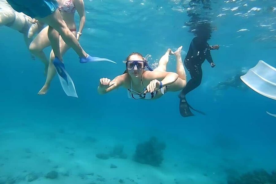 Hurghada: Dolphin Cruise with Snorkeling & Buffet Lunch - Who will enjoy this most