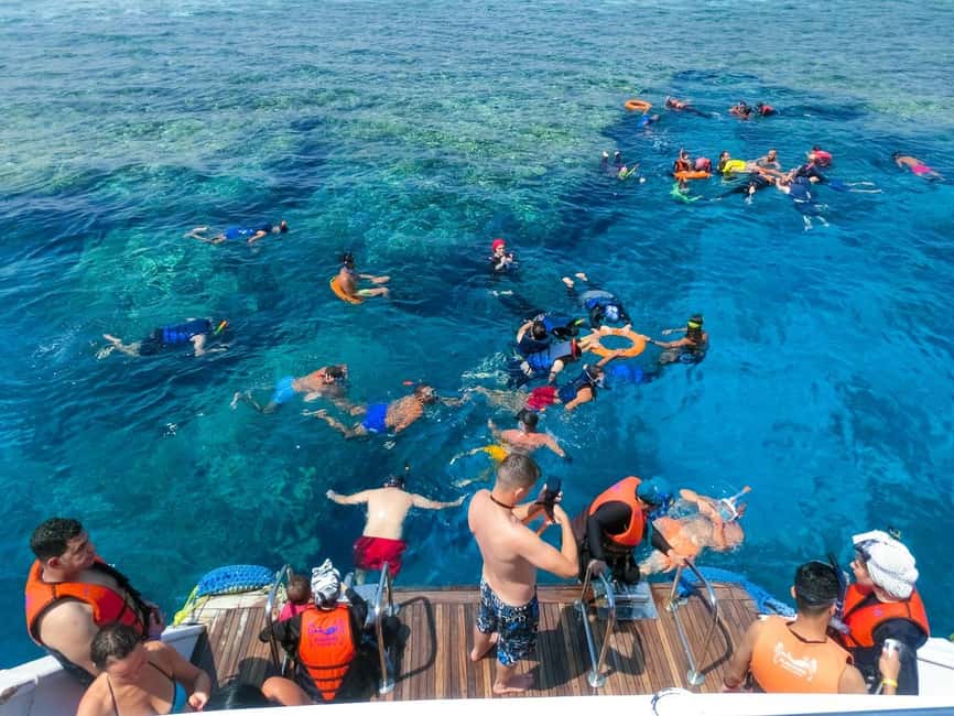 Hurghada: Dolphin Watching Boat Tour with Snorkeling & Lunch - The crew makes a real difference