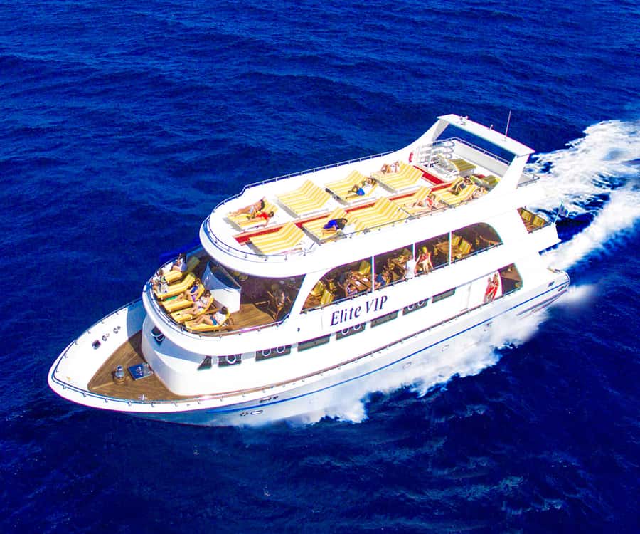 Hurghada: Elite vip snorkeling cruise with BBQ buffet lunch - The northbound dolphin search