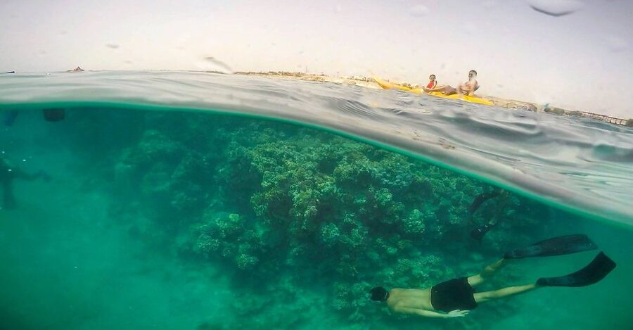 Hurghada: Full-Day Snorkeling Tour in Sharm El Naga w/Lunch - The journey from Hurghada to Sharm El Naga
