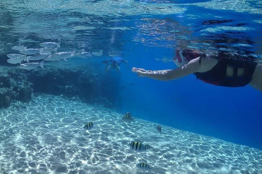 Hurghada: Full-Day Snorkeling Tour in Sharm El Naga w/Lunch - Is $75 per person good value?