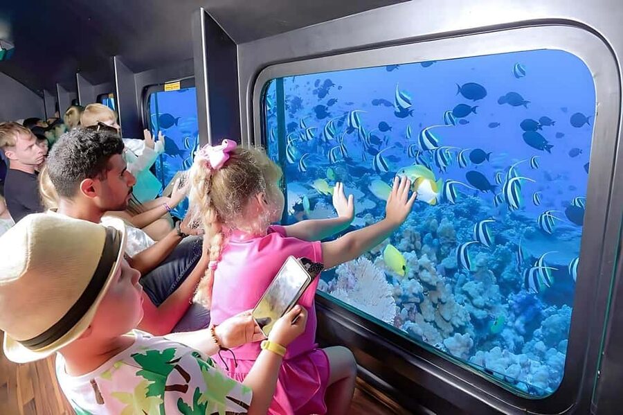 Hurghada: Glass Boat & Snorkeling with Optional Parasailing - Watching coral and fish through the lower windows
