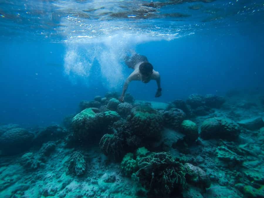 Hurghada:Luxury Diving & Snorkeling inc/Island/Lunch/Massage - Orange Bay: 75 minutes on a popular island