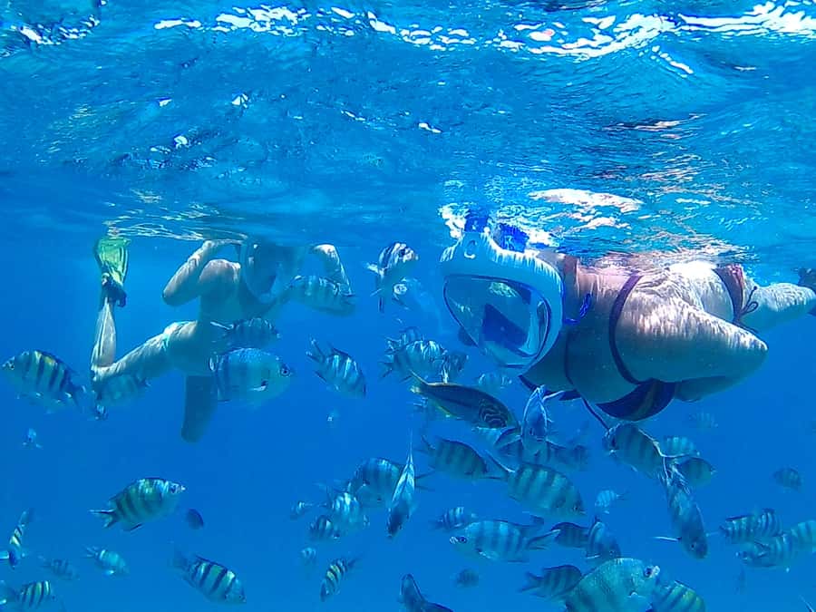 Hurghada: Luxury Giftun island w/snorkeling/lunch & Massage - Quick points before you book