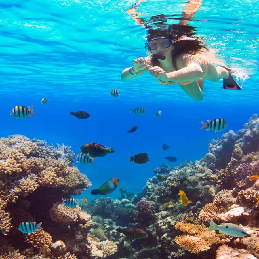 Hurghada: Luxury Giftun island w/snorkeling/lunch & Massage - Two snorkeling stops on the Red Sea
