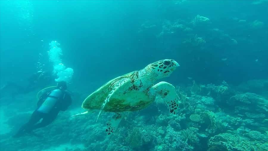 Hurghada: Premium Island Cruise with Lunch and snorkeling - Lunch aboard the yacht