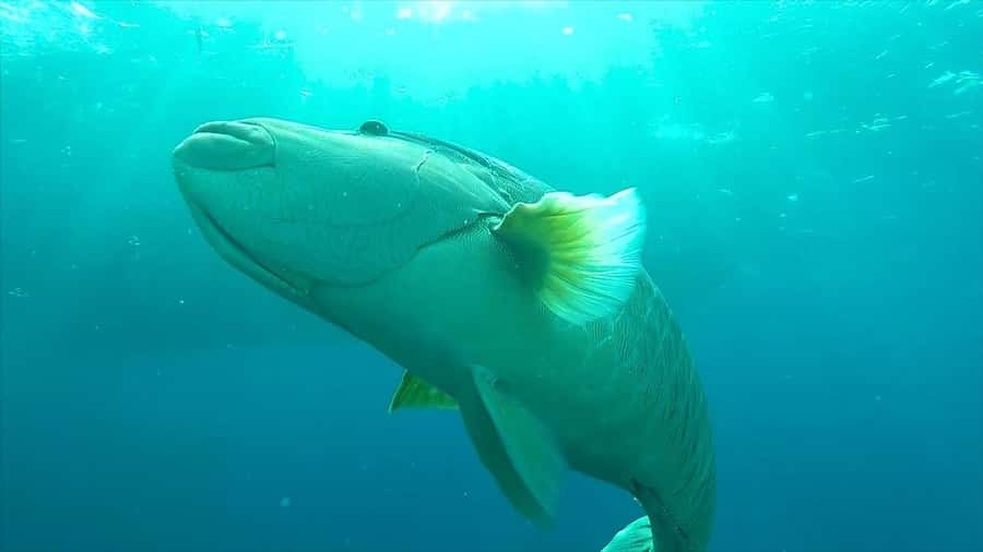 Hurghada: Premium Island Cruise with Lunch and snorkeling - Space, comfort, and onboard hygiene