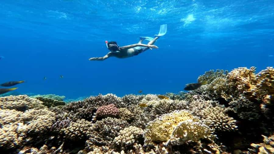 Hurghada: Snorkeling 6 x 1 to Orange Bay w Diving & Massage - The morning pickup and cruise to Giftun Island