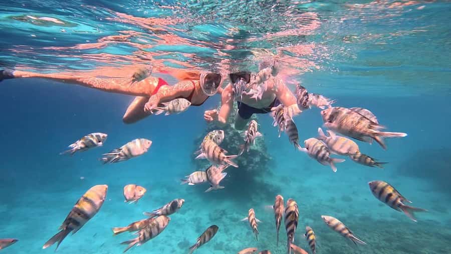 Hurghada: Snorkelling Trip by Speedboat with Hotel Pickup - Who will enjoy this trip most
