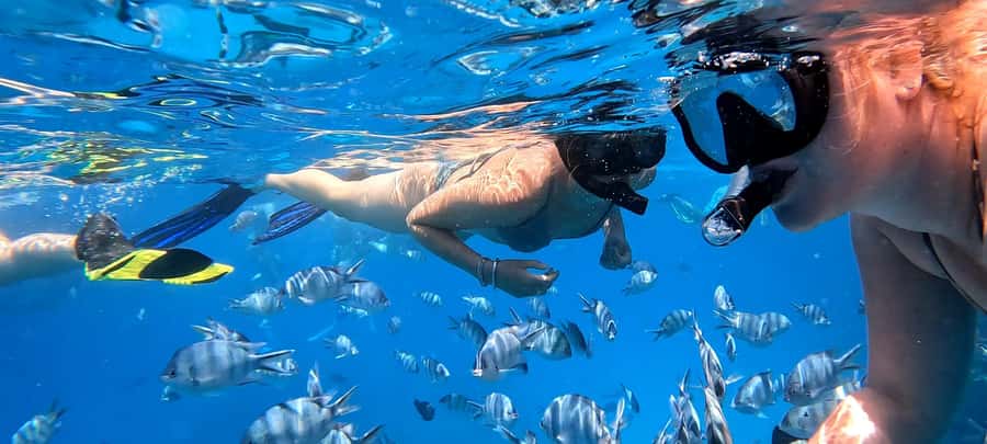 Hurghada: White Island Speedboat Tour, Snorkeling, & Lunch - Who will enjoy this trip most?