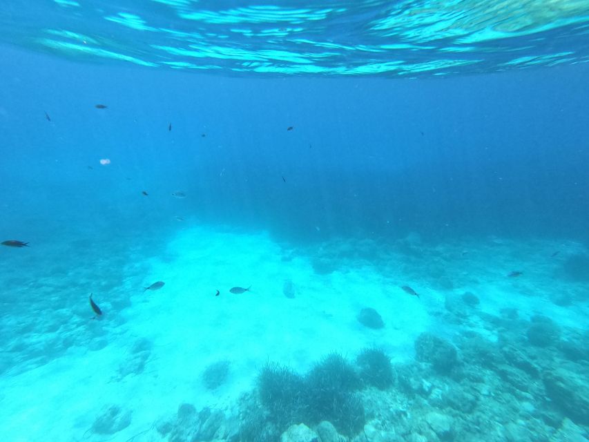 Hvar: Private Sailing Boat Trip with Swimming and Snorkeling - What the private format really adds