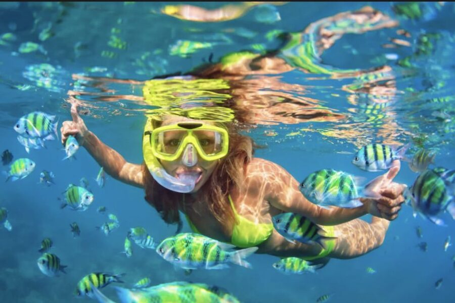 Ibiza: Beach and Cave Snorkeling Tour by Boat - Timing, sea conditions, and the main drawback