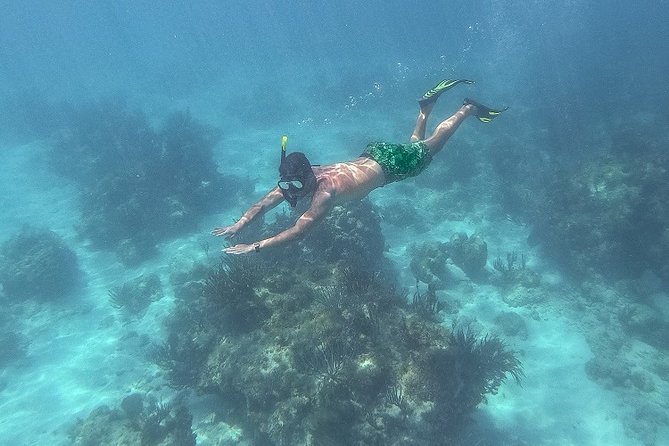 Icacos Deserted Island Catamaran, Snorkel, and Picnic Cruise - The crew sets the tone