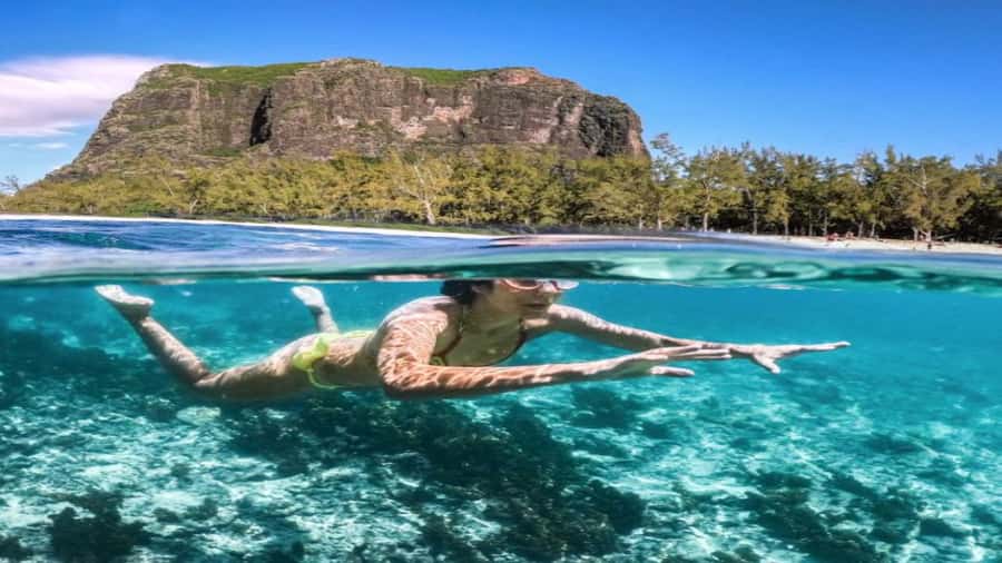Île aux Bénitiers Snorkeling with Dolphins + Seafood Lunch - Practical advice for a smoother day