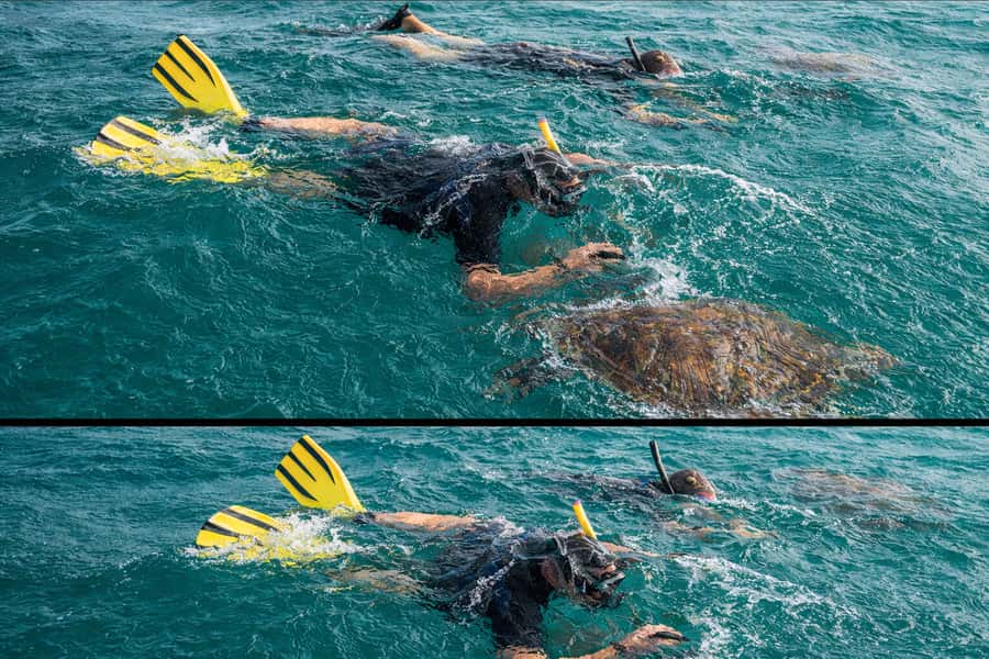 Ilha Do Sal: Snorkeling with Local Guide - The local crew and the tone of the outing