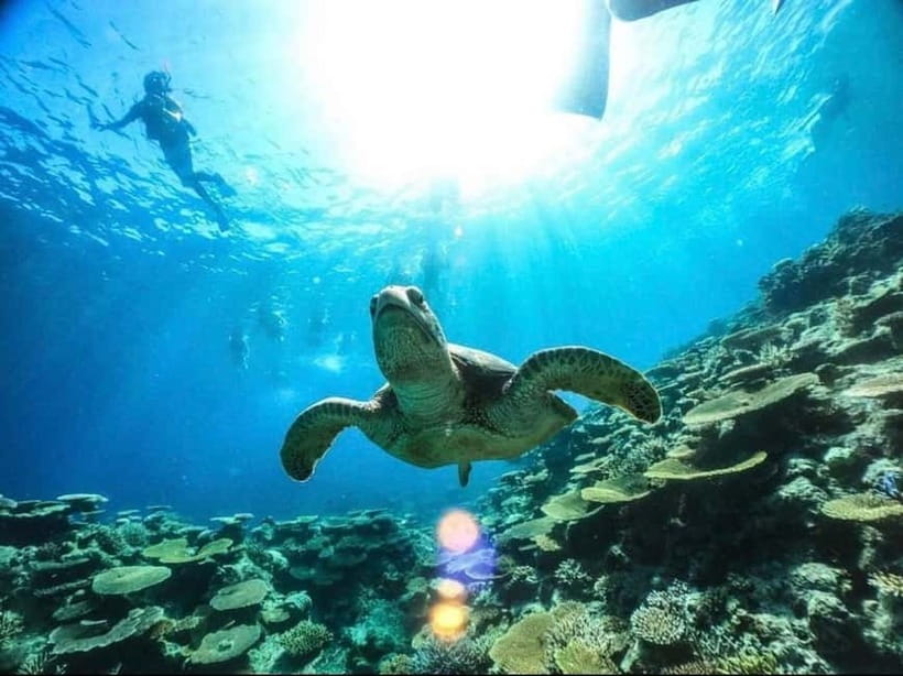 Iriomote: Boat Snorkeling Tour at Barasu Island - The two snorkeling spots and what the timing means
