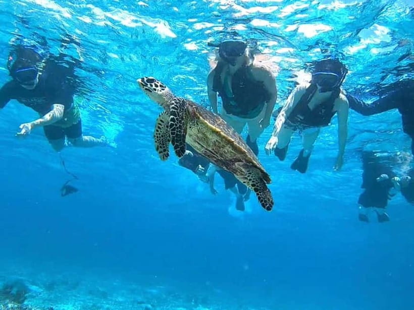 Iriomote: Boat Snorkeling Tour at Barasu Island - Free photos, with a small practical warning
