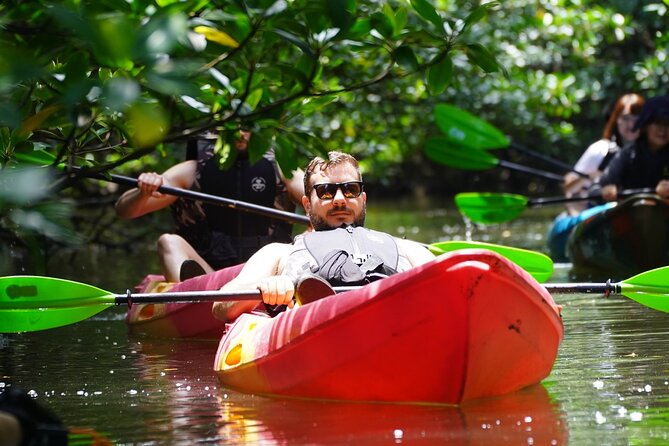 Iriomote Island 1-Day Snorkeling & Mangrove SUP or Canoe - Quick takeaways for this Iriomote water tour