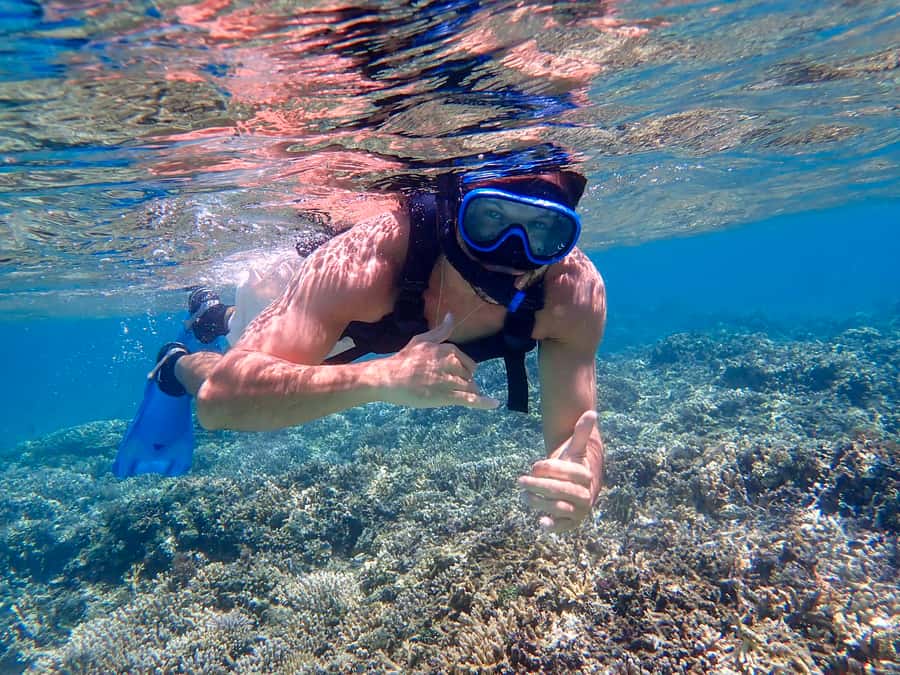 Iriomote Mangrove SUP and Snorkeling at Coral island - Key points to know before you book