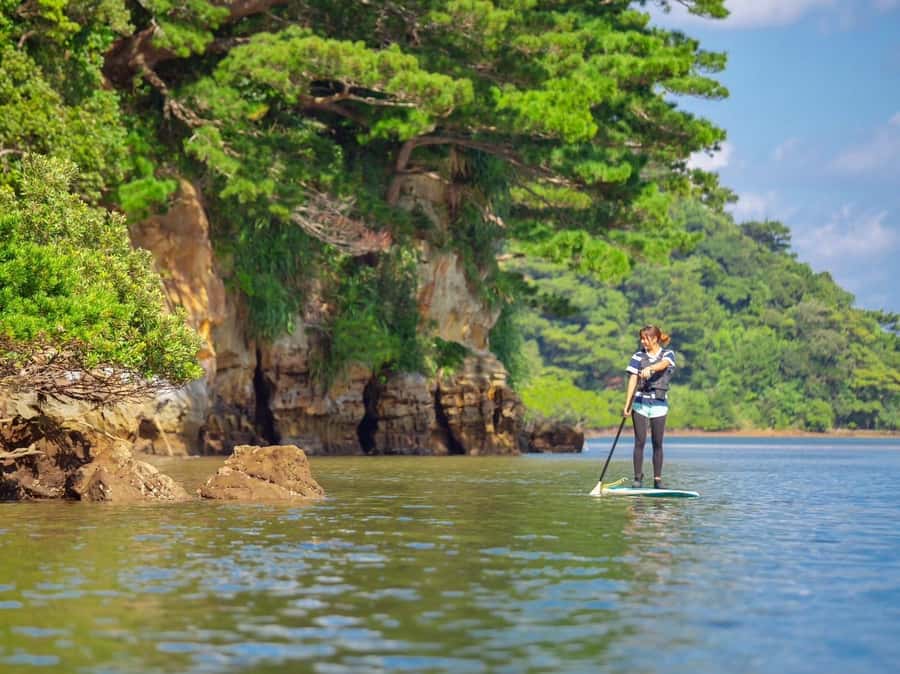 Iriomote Mangrove SUP and Snorkeling at Coral island - Speedboat ride and the coral reef
