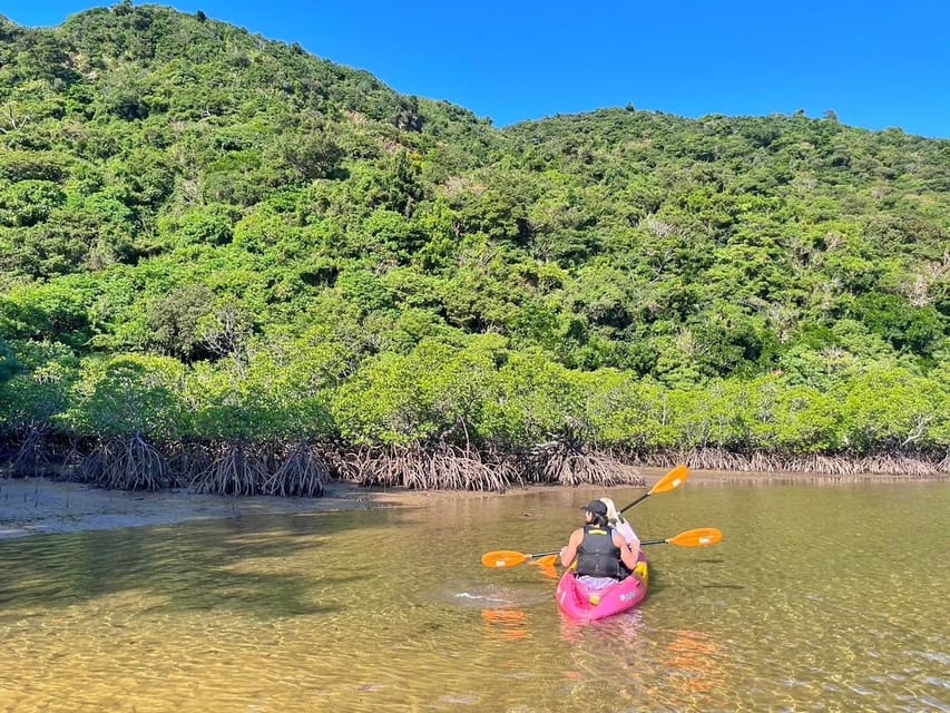 Iriomote Mangrove SUP and Snorkeling at Coral island - The possible Miracle Island stop