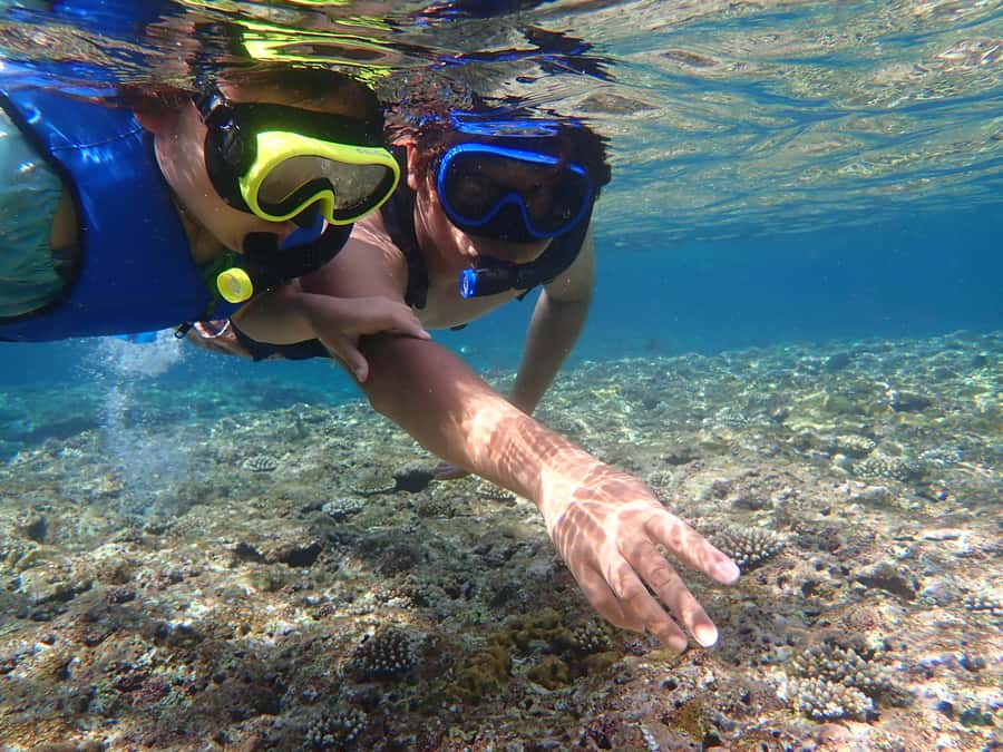 Ishigaki: Canoe or SUP at Kabira Bay&Snorkeling at Blue Cave - Weather, safety, and physical demands