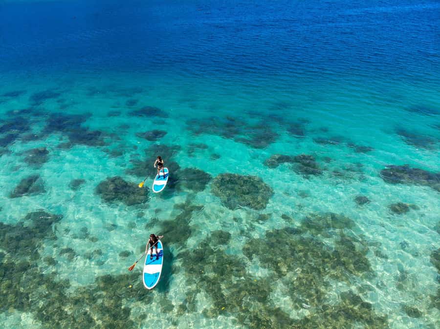 Ishigaki: Canoe or SUP at Kabira Bay&Snorkeling at Blue Cave - Who will enjoy this tour most