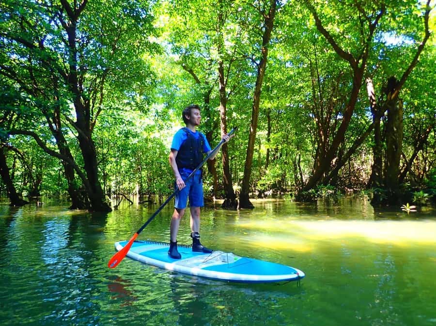 Ishigaki Island: SUP or Canoeing and Snorkeling at Blue Cave - Starting at Ishigaki Ferry Terminal