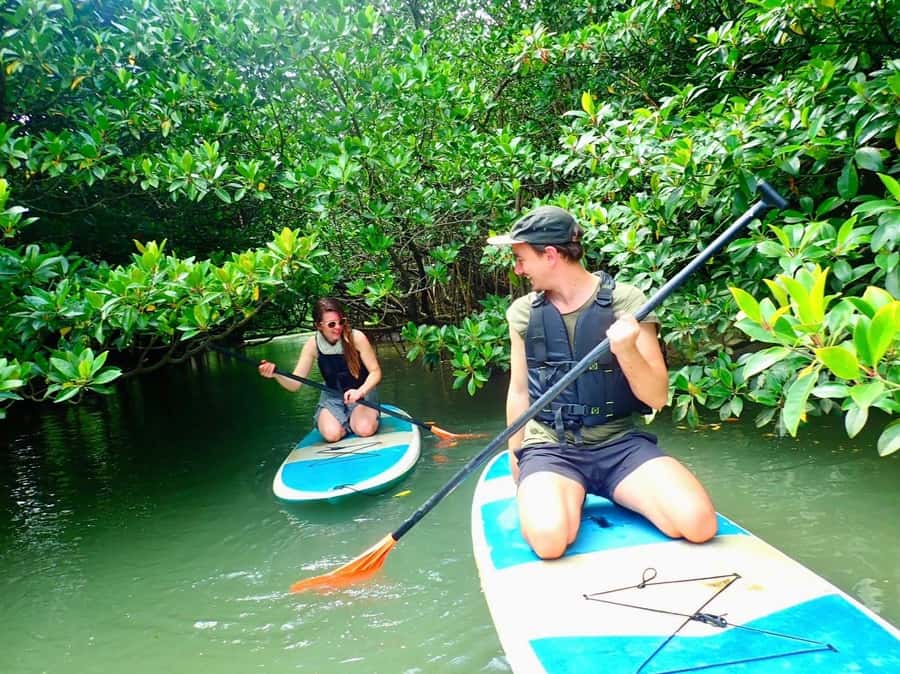 Ishigaki Island: SUP or Canoeing and Snorkeling at Blue Cave - How the weather can change the plan