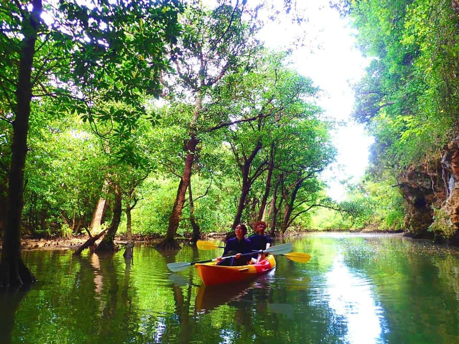 Ishigaki Island: SUP or Canoeing and Snorkeling at Blue Cave - Is $93 a fair price?