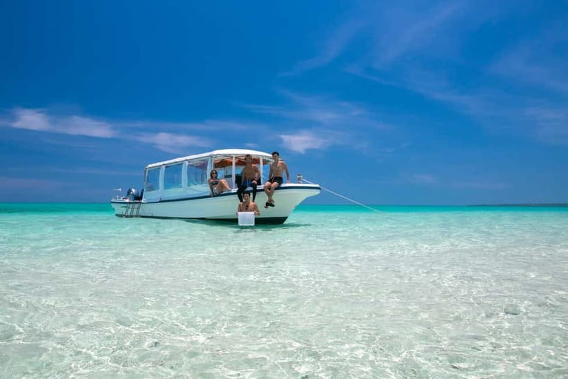 Ishigaki: Mangrove SUP or Canoe & Phantom Island Snorkeling - Why this six-hour combination works