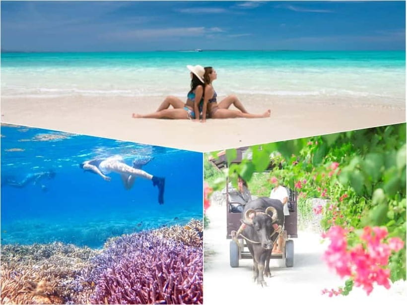 Ishigaki: Phantom Island Snorkeling and Taketomi Sightseeing - Back at Ishigaki Port for a useful break