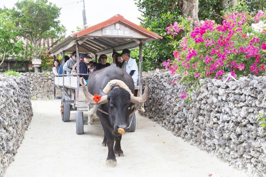 Ishigaki: Phantom Island Snorkeling and Taketomi Sightseeing - The meeting point and a smooth start