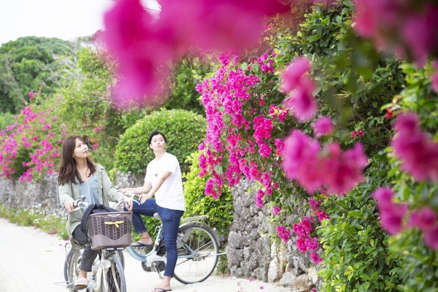 Ishigaki: Phantom Island Snorkeling and Taketomi Sightseeing - Who should book this experience?