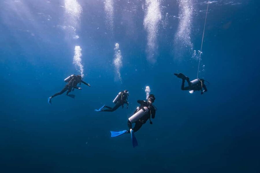 Isla Mujeres: Catamaran Ride with Open Bar, Snorkeling, and Lunch - The 30-minute reef snorkeling stop