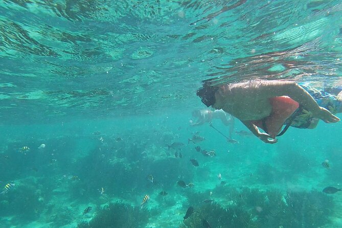 Isla Mujeres Snorkeling Adventure at the Underwater Museum - Meeting at Señor Frog’s in central Isla Mujeres