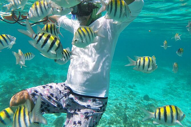 Isla Mujeres Snorkeling Adventure at the Underwater Museum - Lunch at Playa Tiburon adds real value