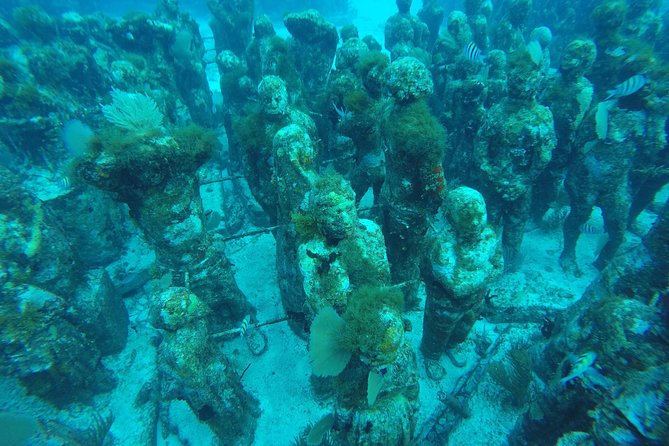 Isla Mujeres Snorkeling Tour Adventure - Group size and how the day can go wrong
